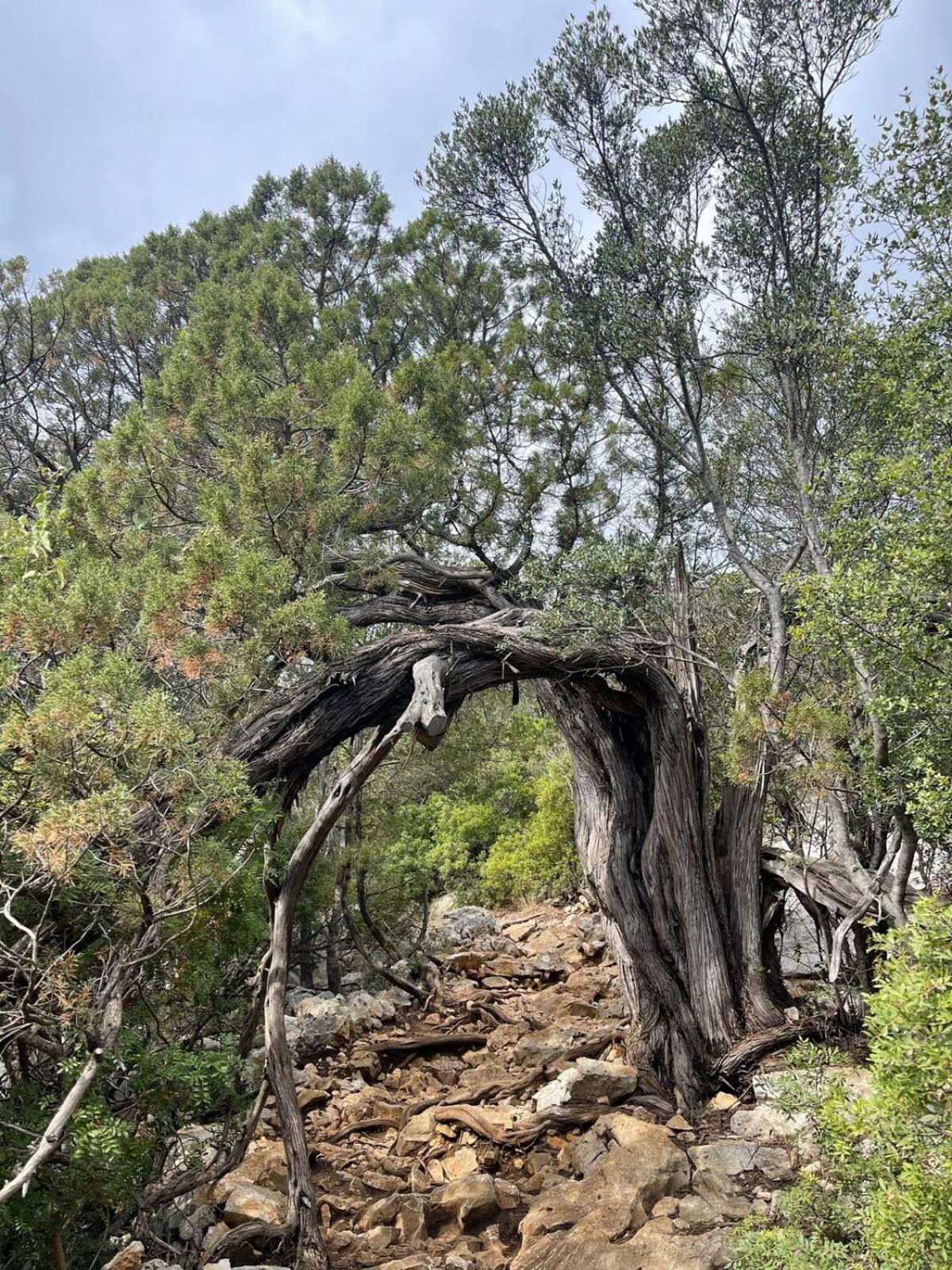 Sa Troppa De Sos Chentu Hotel Dorgali Bagian luar foto