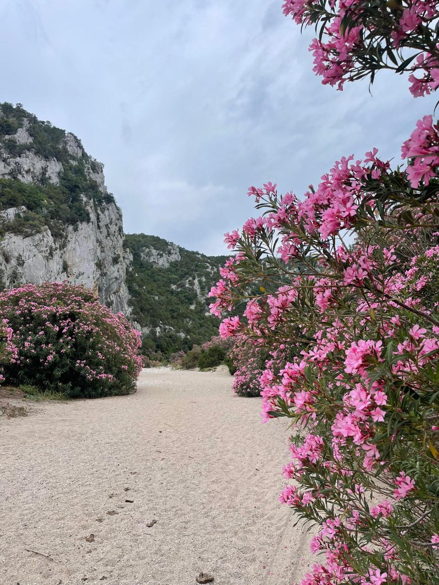 Sa Troppa De Sos Chentu Hotel Dorgali Bagian luar foto
